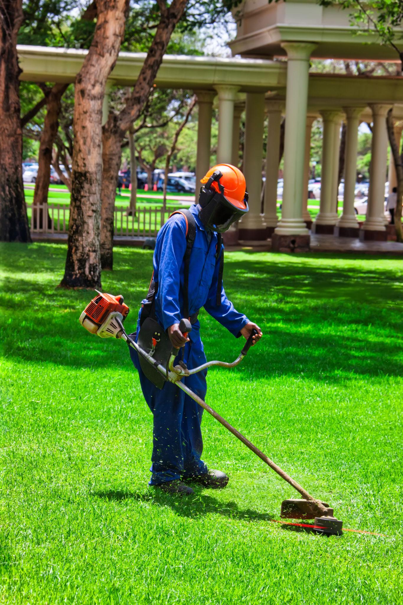 Professional Grass Mowing